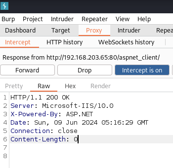 Pasted image 20240609061649