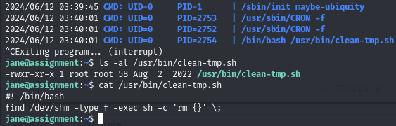 Pasted image 20240612044104