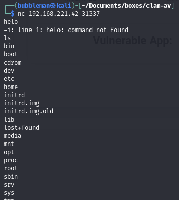 Pasted image 20240619055005