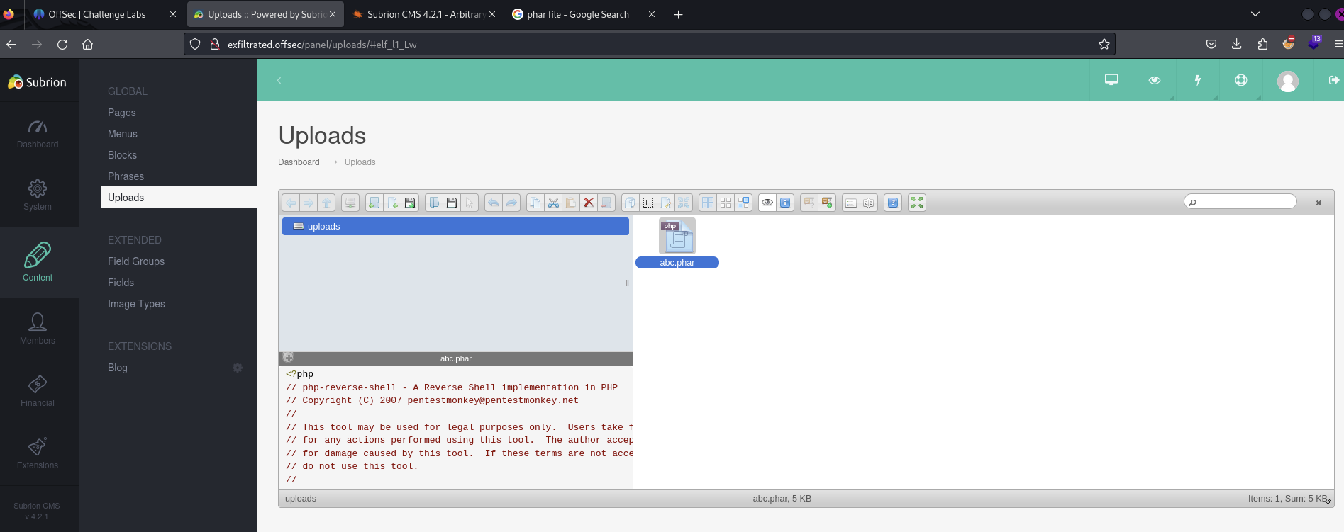 Pasted image 20240624045356