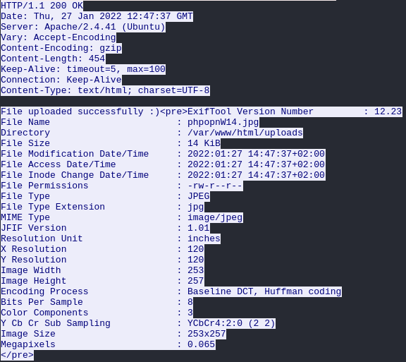 Pasted image 20240625044139