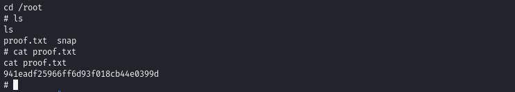 Pasted image 20240625053501