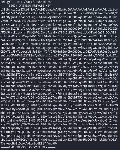 Pasted image 20240702055357