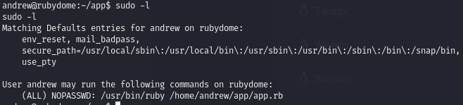 Pasted image 20240723045219