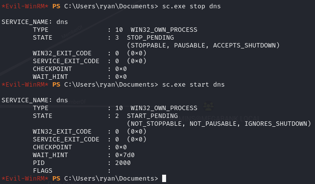 Pasted image 20240902081524