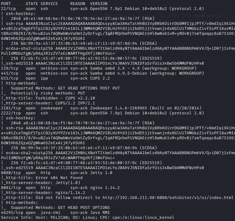 Pasted image 20241120044139