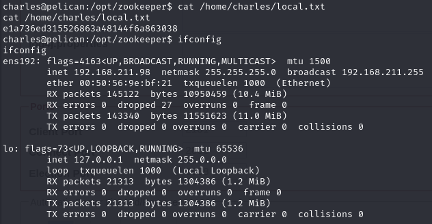 Pasted image 20241120051431