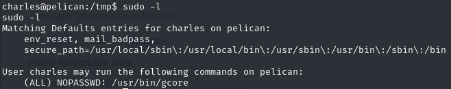 Pasted image 20241120053937