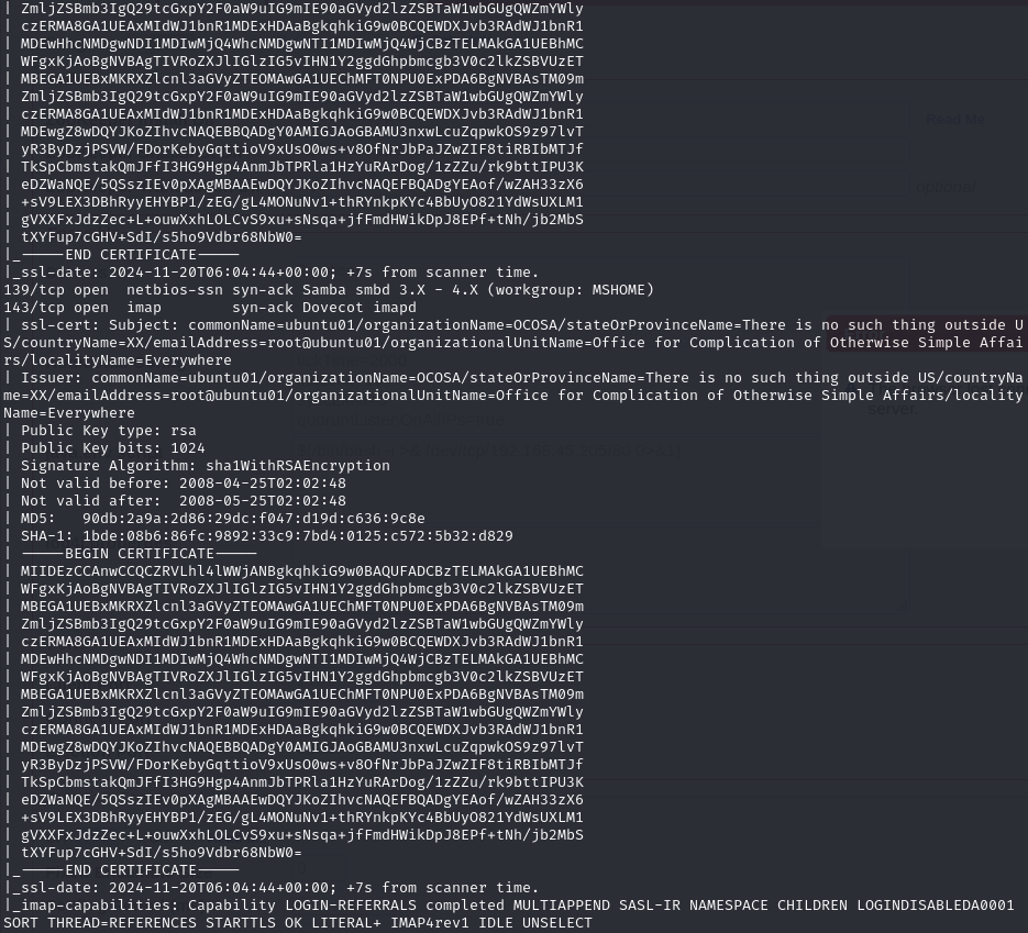 Pasted image 20241120060522