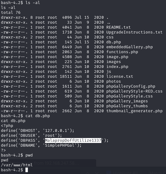 Pasted image 20241126052926