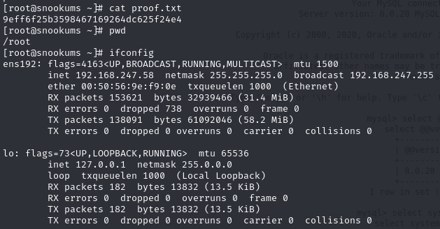 Pasted image 20241126063528