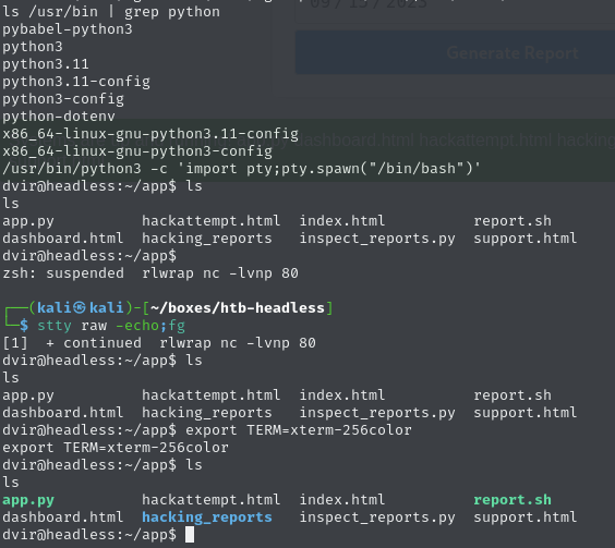 Pasted image 20250403061516